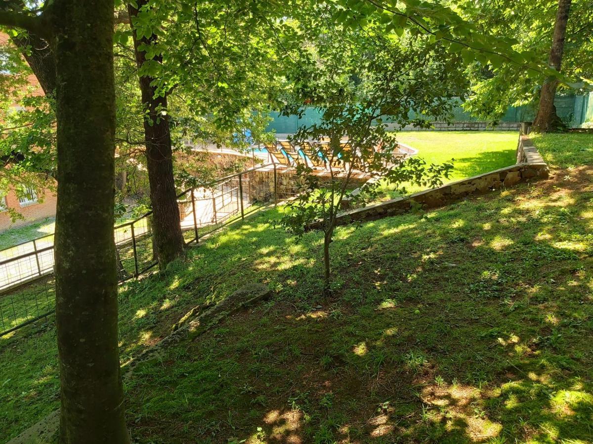 Apartamentos la Francesa Santa Pau Bagian luar foto