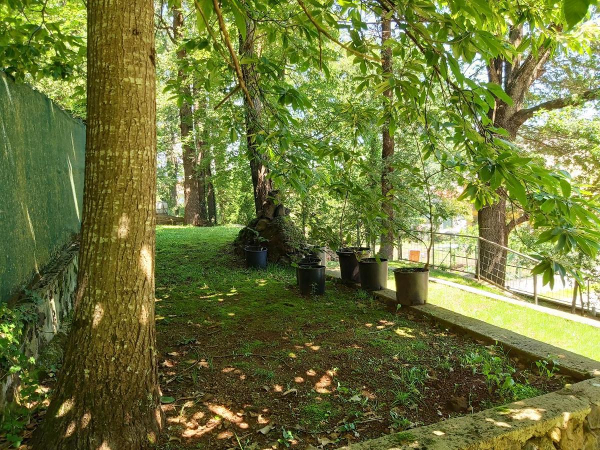 Apartamentos la Francesa Santa Pau Bagian luar foto